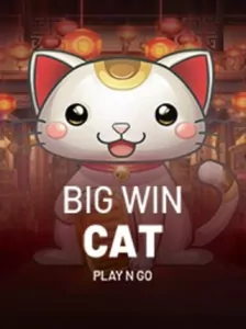 Big Win Cat