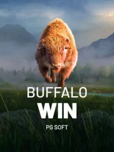 Buffalo Win