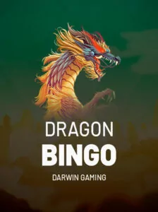 Dragon Bingo
